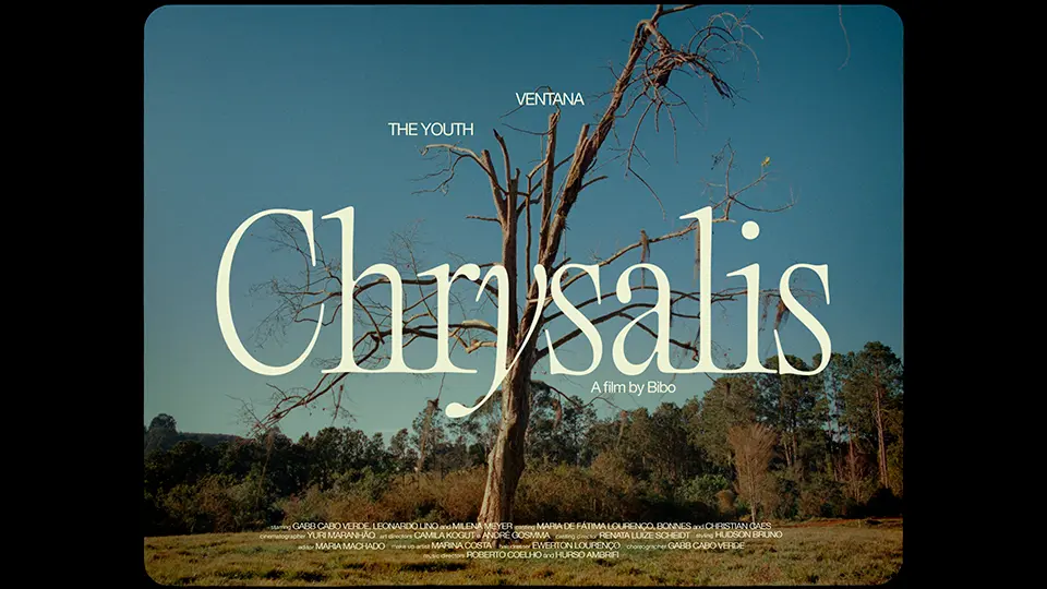 CHRYSALIS